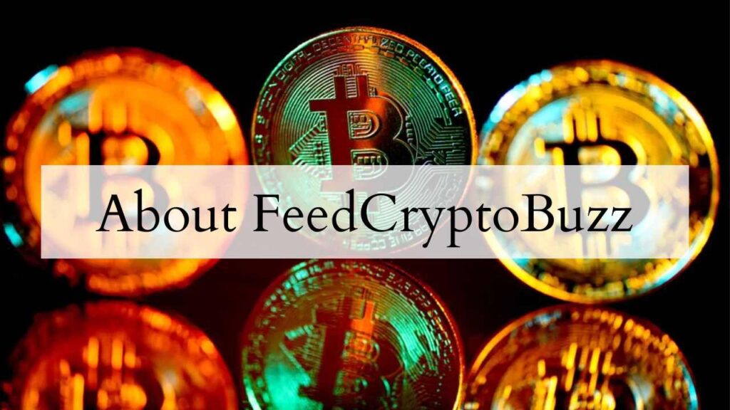 About FeedCryptoBuzz