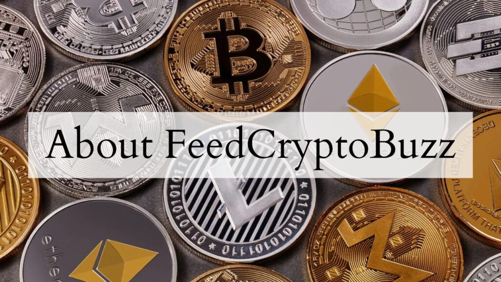 About FeedCryptoBuzz