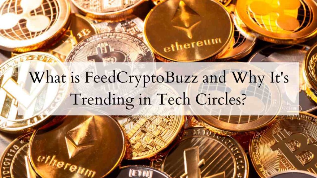 What is FeedCryptoBuzz and Why It's Trending in Tech Circles
